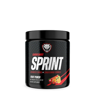 SPRINT (PRE-Run)